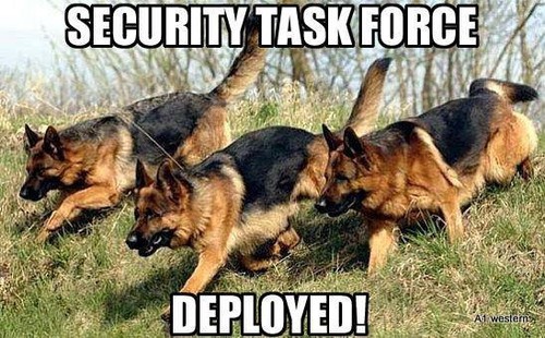 German shepard refrigerator - shepard,